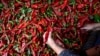 Herbs and Spices May Be Good for Your Health