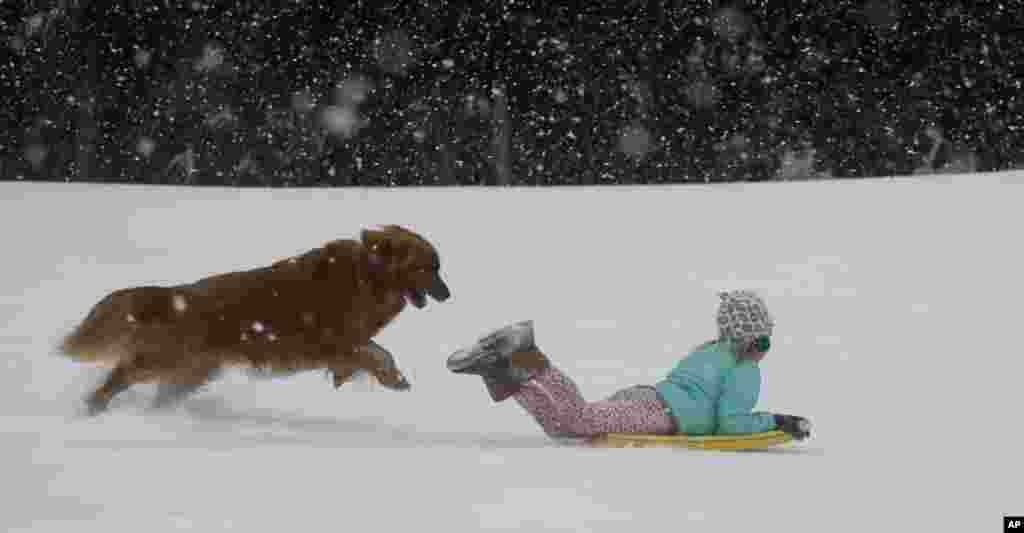 Deep Freeze South Carolina