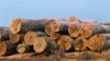 Brazil Seeks to Privatize Key Stretches of Amazon Highways 