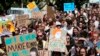 Report: Climate Change, Pollution Threaten New Zealand's Marine Environment