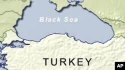 Turkish Police Arrest 31 Suspected Kurdish Separatists