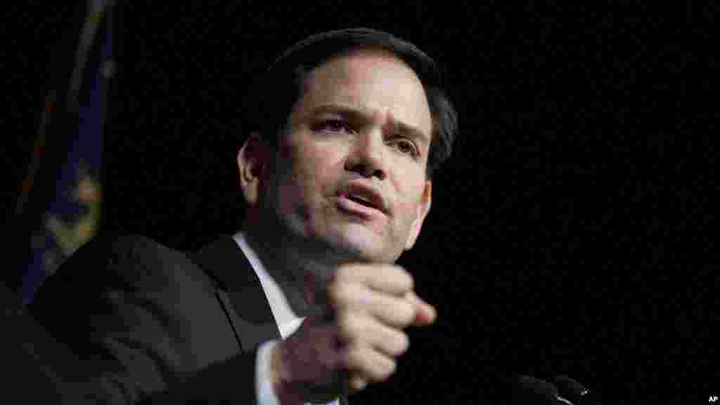 Marko Rubio, Florida shtatidan senator