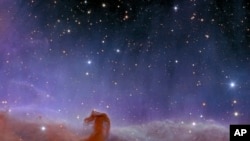 Imagen de la Nebulosa “Horsehead” tomada por el telescopio espacial Euclid de la Agencia Espacial Europea. Foto cortesía de la Agencia Espacial Europea, 7 de noviembre de 2023. 
