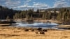 Yellowstone: America's First National Park