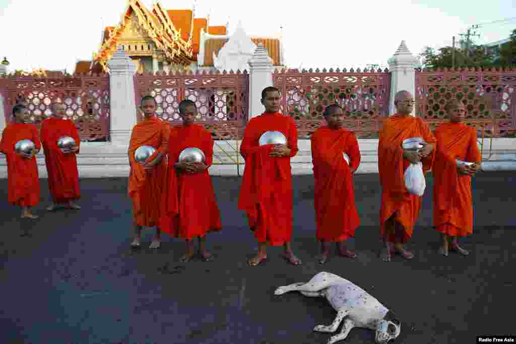 Seekor anjing tertidur di depan para biksu yang meminta sedekah di luar sebuah kuil di dekat Kantor Pemerintah di Bangkok, Thailand. 