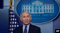 Anthony Fauci