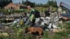 Прокуратура Голландії шукає свідків запуску «Бука» по малайзійському літаку
