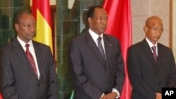 Guinea Photos