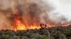Tanzanie: incendie sur les pentes du Kilimandjaro