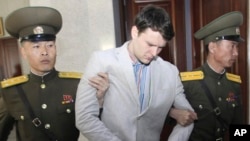 American student Otto Warmbier, center, is escorted at the Supreme Court in Pyongyang, North Korea, Wednesday, March 16, 2016. Warmbier was sentenced to 15 years in prison with hard labor on Wednesday.