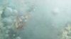 First Large Antarctic Undersea Volcanoes Discovered in Southern Atlantic