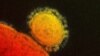 Kuwait Reports First MERS-coronavirus Cases