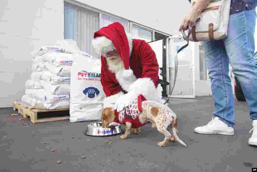 2017年12月5日圣迭戈的宠物商店PetSmart的志愿者团队与圣诞老人合作,提供免费宠物食品。这个商店推行“你买一袋,我送一餐”活动,在2017年12月31日之前,顾客在其连锁系统的1,600家商店或在线购买每一袋狗粮或猫食,这家零售商都向有需要的宠物捐赠一餐。