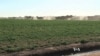 California’s Water System Not Created To Handle Current Drought