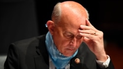 戈莫特众议员在众议院司法委员会的听证会上看笔记。(2020年7月28日)