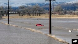 A red pickup truck sits abandoned it after it got stuck in floodwaters, Jan. 9, 2017, on a closed road at a University of Nevada, Reno, research farm bordering the Truckee River south of U.S. Interstate 80.