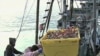 California Bans, Restricts Fishing in Marine Areas