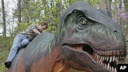 Patrick Cupp puts the finishing touches on a robotic model of a Tyrannosaurus rex at the Cleveland Metroparks Zoo in Cleveland, April 2010.