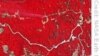 Meatpackers Agree on Amazon Deforestation Moratorium