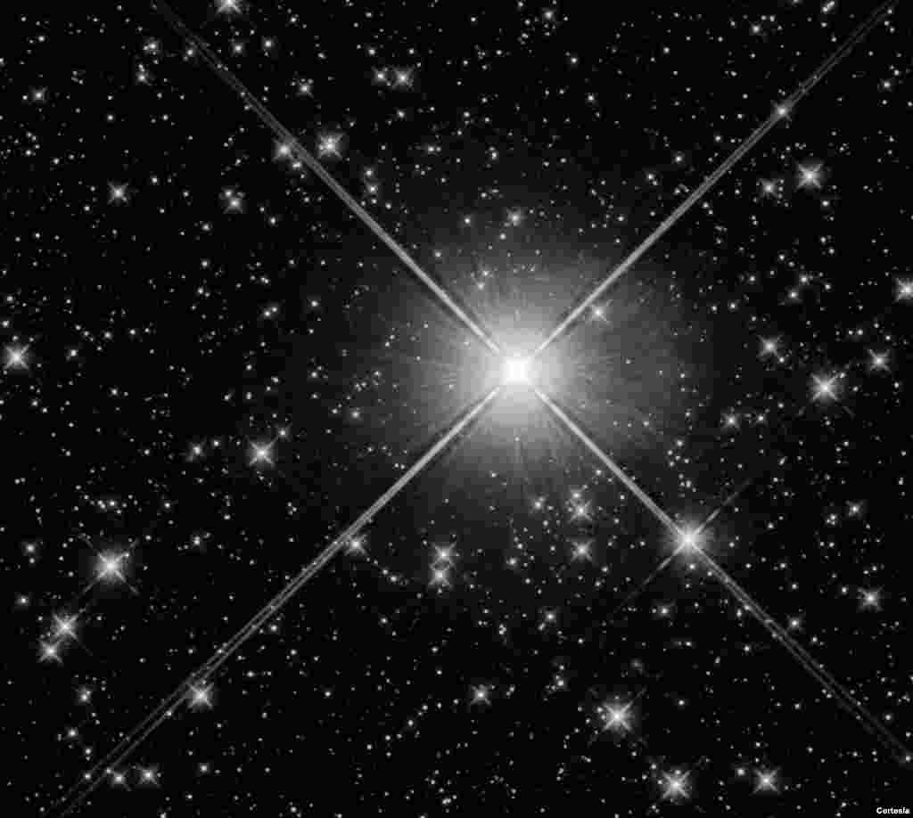 Este c&#250;mulo abierto consta de aproximadamente 40 estrellas, la m&#225;s brillante de las cuales (cerca del centro) es la estrella variable. S Normae. [Foto: Cortes&#237;a NASA].