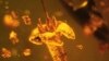 ‘Completely New’ Flower Species Found in Amber 