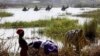 HRW: 2014 'Turbulent' Year for Human Rights in Africa, Syria
