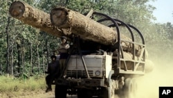 FILE - A truck carries logs in Preah Vihear province, 245 kilometers north of Phnom Penh, Cambodia. In January, Virgin Atlantic announced it was pulling out of Cambodia's first REDD+ project in Oddar Meanchey province following the release of an NGO's report that showed ongoing and rampant illegal logging linked to military syndicates.