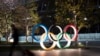 Japanese Expert Casts Doubt on Olympics Being Held in 2021