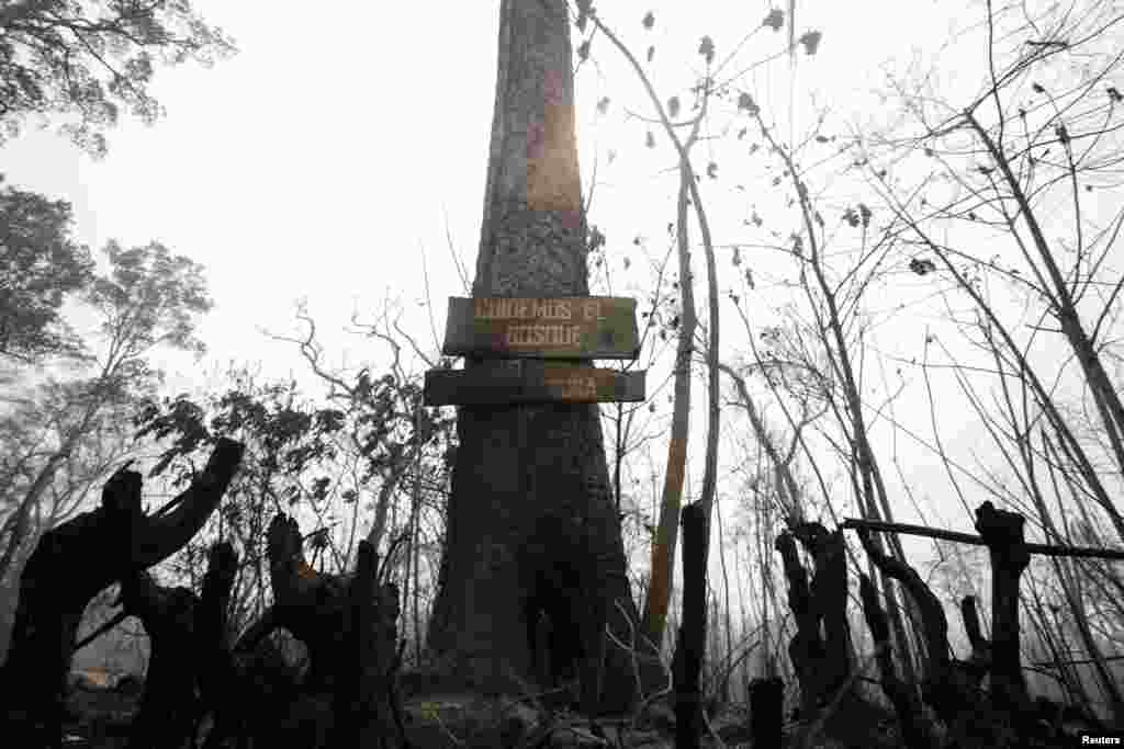 Vista de un cartel que dice "Cuidemos el bosque" en una zona forestal carbonizada después de un incendio forestal en Río Blanco, Bolivia. (REUTERS)