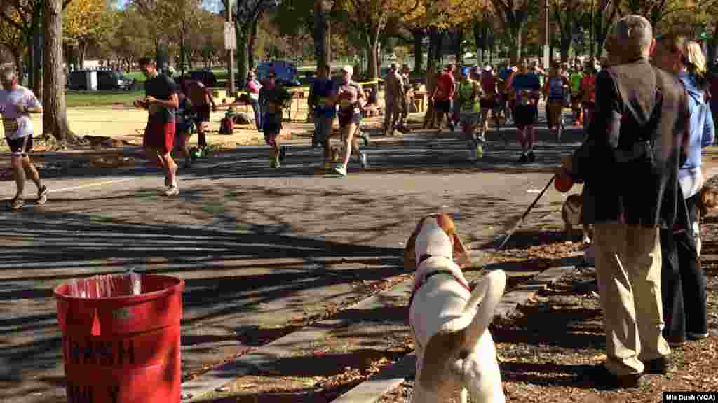 Spectators lined the course along Independence Avenue to cheer on runners participating in the 39th Marine Corps Marathon Sunday in Washington, D.C.