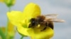 16x9 Image