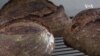 For the Love of Bread