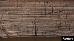 FILE - Trees and water marks are seen on previously submerged land at Guri dam in Bolivar state, Venezuela, April 11, 2016.