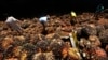 Palm Oil Giant Accused Of Using Child Labor