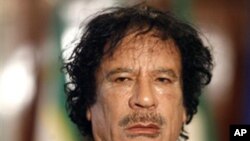 Grupos dos direitos humanos criticam "execução" de Gadhafi
