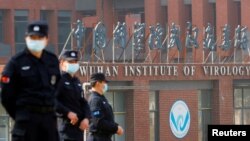 當世衛組織新冠病毒源頭調查組視察武漢的中國科學院病毒研究所期間，中國保安人員在研究所外站崗。 （2021年2月3日）