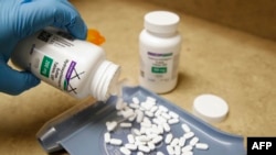 A pharmacy tech pours out pills of hydroxychloroquine at Rock Canyon Pharmacy in Provo, Utah, May 20, 2020. 