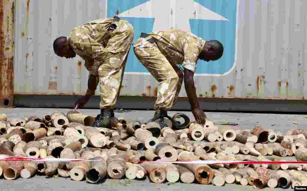 Kenya Wildlife Service officers count elephant tusks they impounded at a container terminal in Kenya's port city of Mombasa, Oct. 8, 2013.