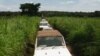 Russia Sends 300 Military Instructors to Central Africa Republic