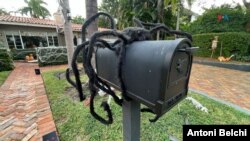 Algunos vecinos explicaron a la VOA que muchos residentes latinos se han adoptado a la tradición de decorar sus casas y disfrazarse por el día de Halloween. (Foto: Antoni Belchi / VOA)
