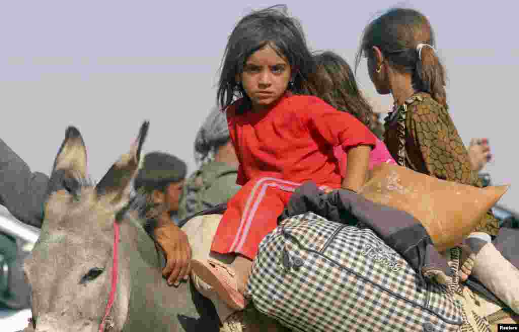 Displaced children from the minority Yazidi sect, fleeing violence from forces loyal to the Islamic State ride on a donkey as they head towards the Syrian border, on the outskirts of Sinjar mountain, near the Syrian border town of Elierbeh of Al-Hasakah Governorate, Aug. 11, 2014. 