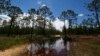 New Water Rules Mark Latest Trump Rollback on Environmental Regulations 