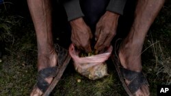 Fotografía de archivo de un aldeano agarra hojas de coca para masticar, durante una pausa en el trabajo comunitario a lo largo de una carretera en Mayumbamba, Perú, el 1 de febrero de 2023.