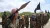 Analysts Doubt al-Shabab Chemical Arms Capability