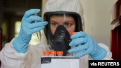 莫斯科加马利亚流行病学与微生物学研究所的科研人员测试新冠病毒疫苗。(2020年8月6日) 