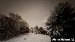 Snowy Tuesday Night