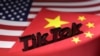出售或被禁 TikTok還有甚麼其他選擇？