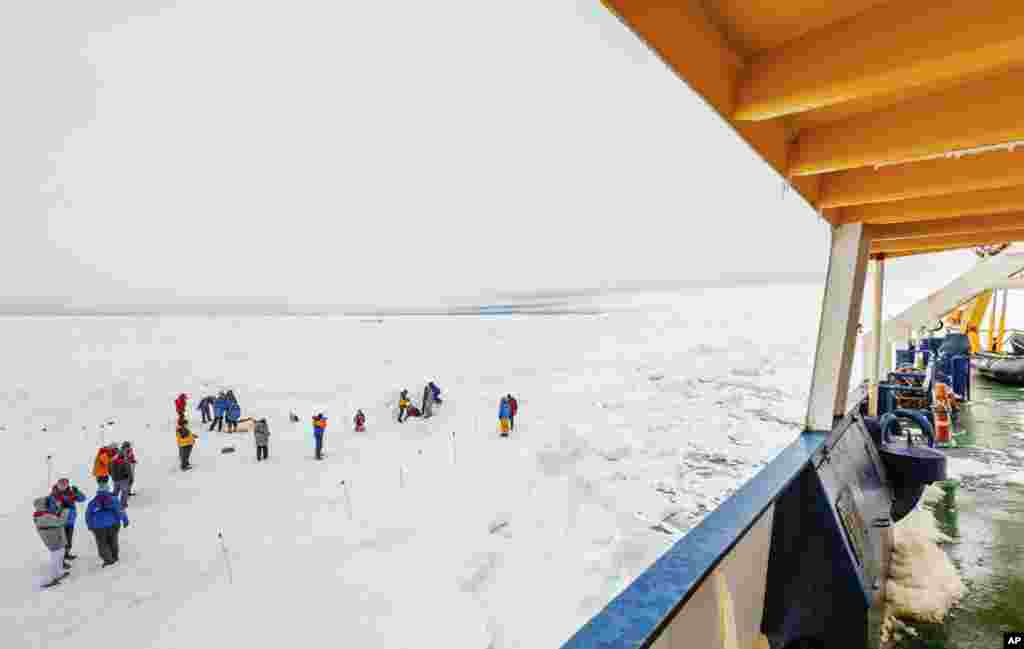 Para penumpang berdiri di es yang mengelilingi kapal Rusia MV Akademik Shokalskiy, yang terperangkap di es tebal hampir sepekan lamanya di Antartika Timur (27/12). (AP/Australasian Antarctic Expedition/Footloose Fotography, Andrew Peacock) 