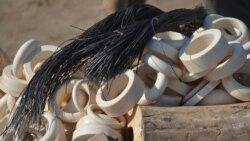 Moçambique perde terreno na defesa da fauna bravia 3:00