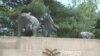 Chicago's Lincoln Park Zoo Celebrates 150th Anniversary